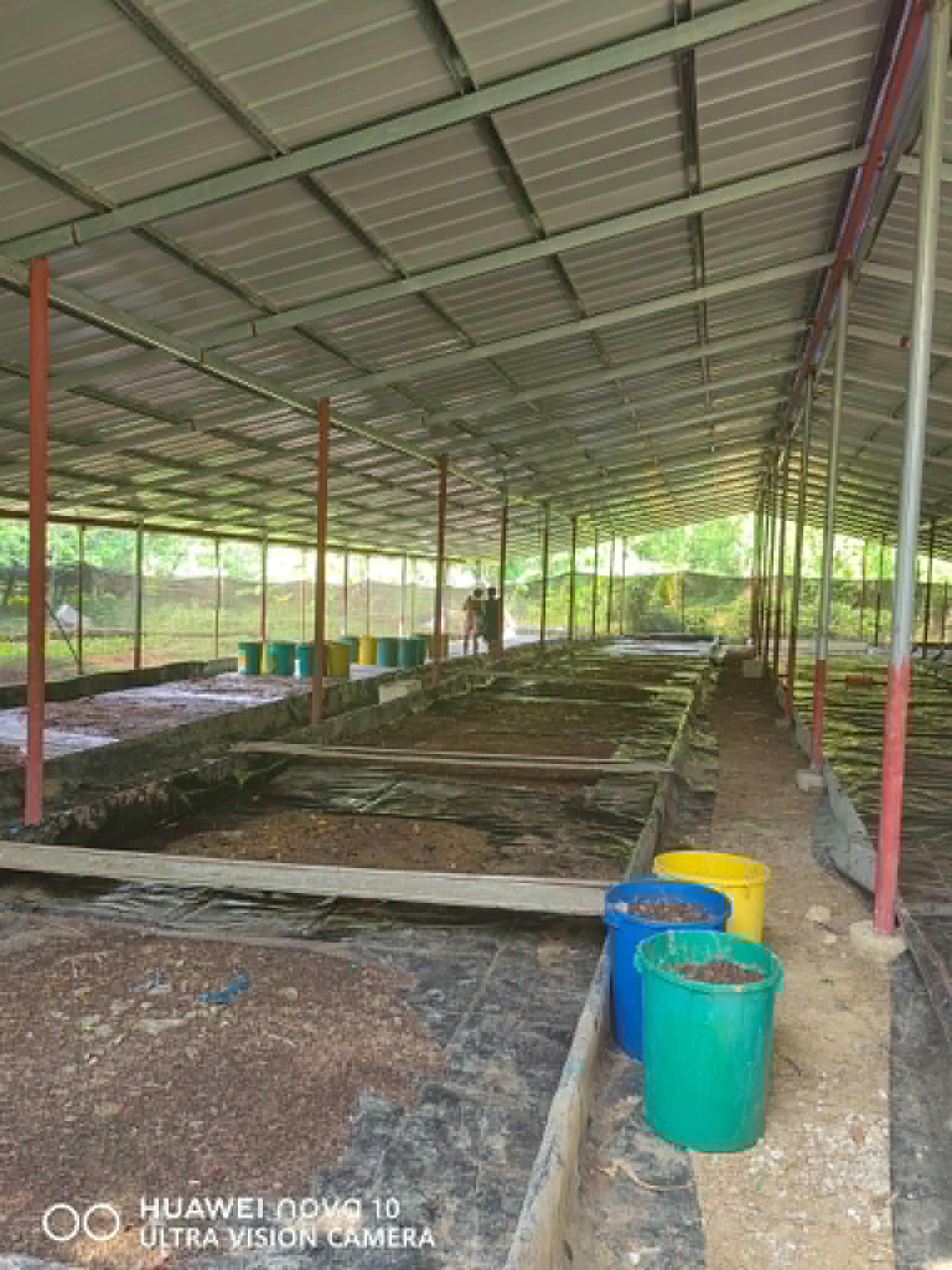 BSF rearing bay